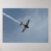 T-6G "Texan" flown by Bill Leff. Posters