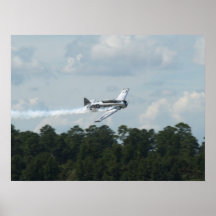 T-6G "Texan" flown by Bill Leff. Print