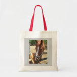 T-Bred gelding Bags