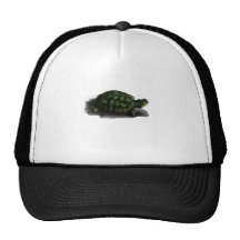T is for Turtle Hats