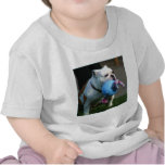 T-shirt anglais de bébé de bouledogue