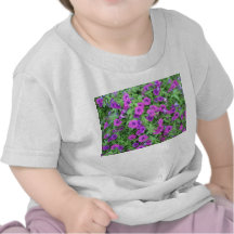 T-shirt pourpre de nourrisson de pétunias