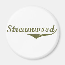T-shirts de révolution de Streamwood Aimants