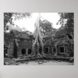 Ta Prohm Posters