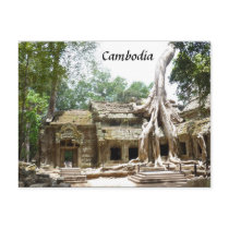 ta prohm tree post cards