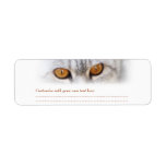 Tabby Cat Address label labels