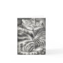 TABBY CAT AFFECTION GREETING CARDS