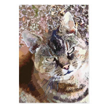 TABBY CAT BUSINESS CARD TEMPLATES