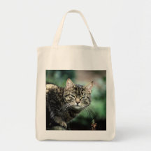 Tabby Cat Canvas Bag