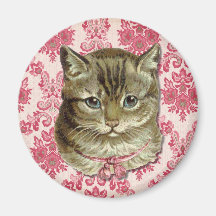 Tabby cat fridge magnets