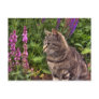 Tabby cat postcard
