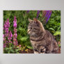 Tabby cat poster