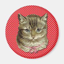 Tabby cat refrigerator magnets