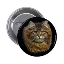 TABBY KITTEN Button Pin Collection