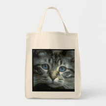 Tabby Kitten Face Canvas Bag