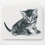Tabby Kitten Mouse Pads