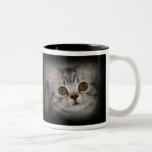 Tabby Kitten Mug mugs