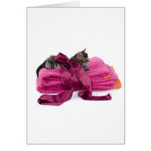 Tabby Kitten on pink towels Cartes De Vœux