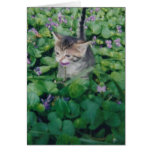 Tabby Kitten With Violet Smile Card