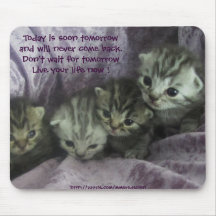 Tabby kittens mousepad