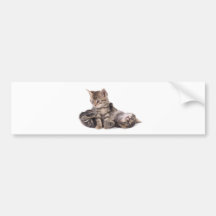tabby kittens playing adhésif pour voiture