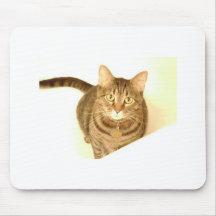 Tabby Mouse Pad