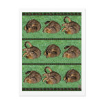 Tabby on a Roll Post Card
