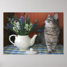 Tabby & Teapot Posters