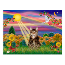 Tabby Tiger Cat - Autumn Sun Postcards