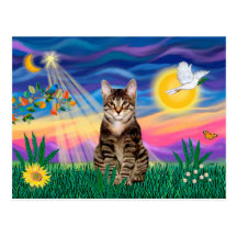 Tabby Tiger Cat - Twilight Postcard