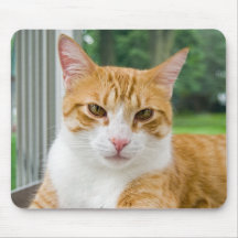 Tabby Time Mousepad