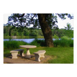 Table de pique-nique sous un arbre d'ombrage près  cartons d'invitation