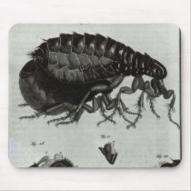 Table IV of Flies and Fleas mousepads
