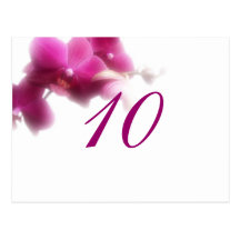 Table Number Postcard