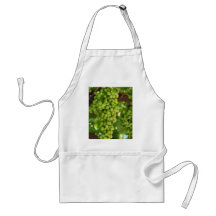 Tablier-Raisins