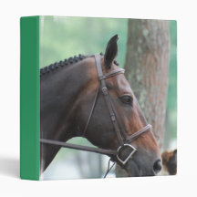 Tacked Dark Bay Horse Binder