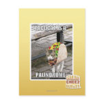 TACOCAT IS A PALINDROME postcards
