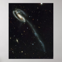Tadpole Galaxy 16x20 (16x20)