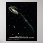 Tadpole Galaxy Hubble Telescope Photo Print