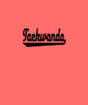 taekwondo t-shirt