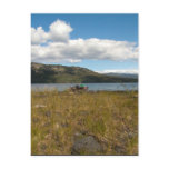 Tagish Lake Vista Postcard