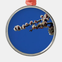tagoudis_vassilis_''Spring 1''.JPG Ornament