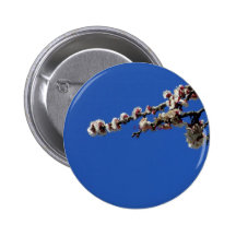 tagoudis_vassilis_''Spring 1''.JPG Pinback Button