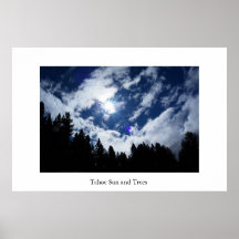 Tahoe Sun and Trees Print