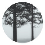 Tahoe Trees stickers