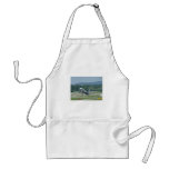 Tail Dragger Bad Landing Apron