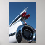 Tail Fin Print