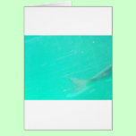 Tail of a Snapper cards