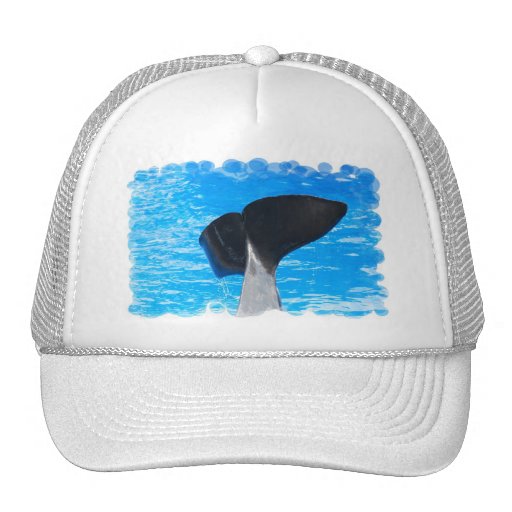 Tail of a Whale Baseball Hat