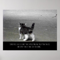 Tail Up (Kitten) Fine Art Print